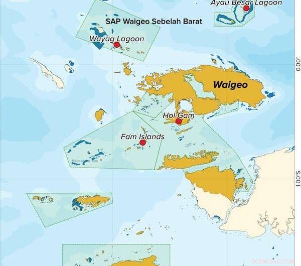 New Insights into Baby Manta Rays’ Early Lives in Indonesia’s Wayag Lagoon