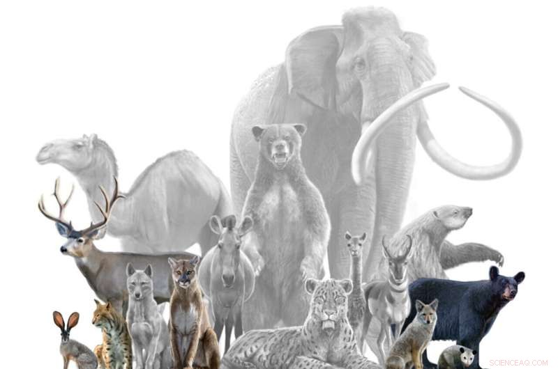 Reconstructing Ice Age Diets Illuminates the Interconnected Web of Life