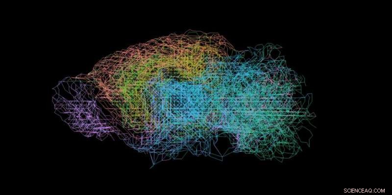 How Cell Division Drives Neural Network Formation During Brain Development