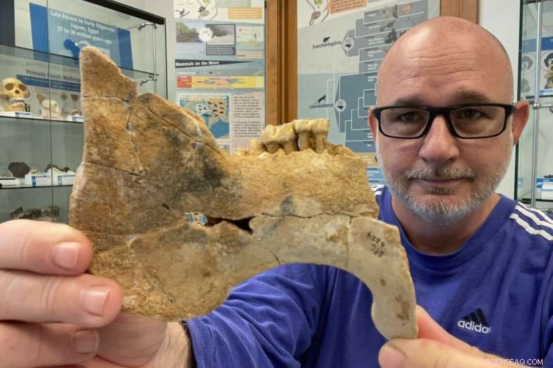 Tracing Manatee Evolution: New Study Maps Their Global Oceanic History