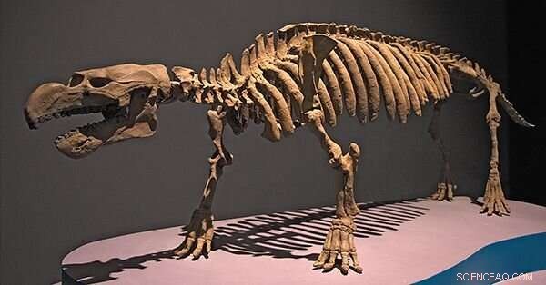 Tracing Manatee Evolution: New Study Maps Their Global Oceanic History