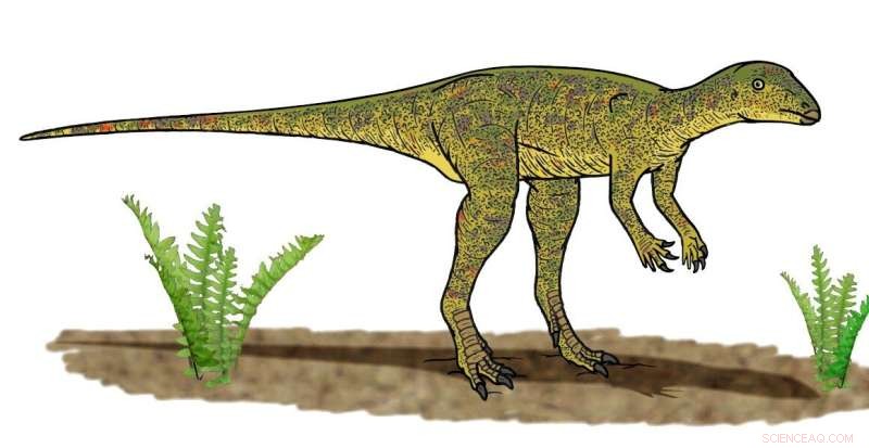 Lesothosaurus: One of the First Herd‑Forming Jurassic Dinosaurs
