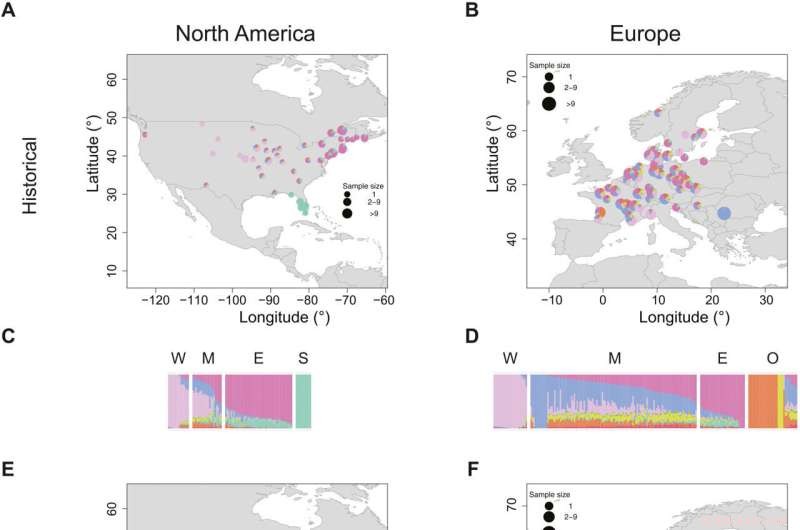 Groundbreaking Genomic Study Reveals Key Drivers of Invasive Species Success