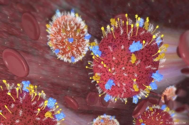 Improved Stem Cell Adhesion Enhances Bone Marrow Transplant Success