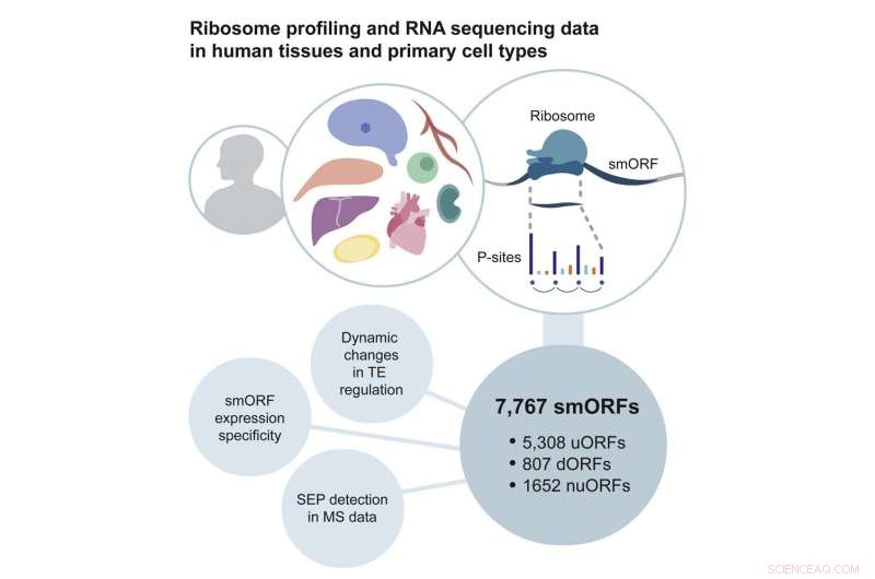 New Duke-NUS Technique Uncovers Thousands of Hidden Human Genome Sequences