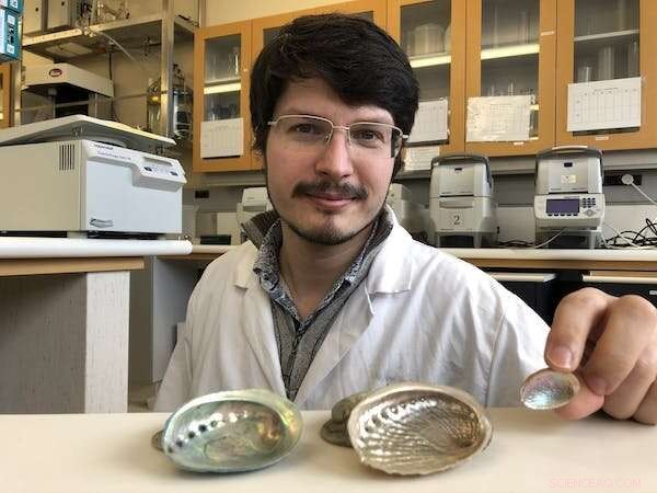 Decoding Evolution: How Empty Mollusc Shells Reveal Genetic Secrets of Extinct Species