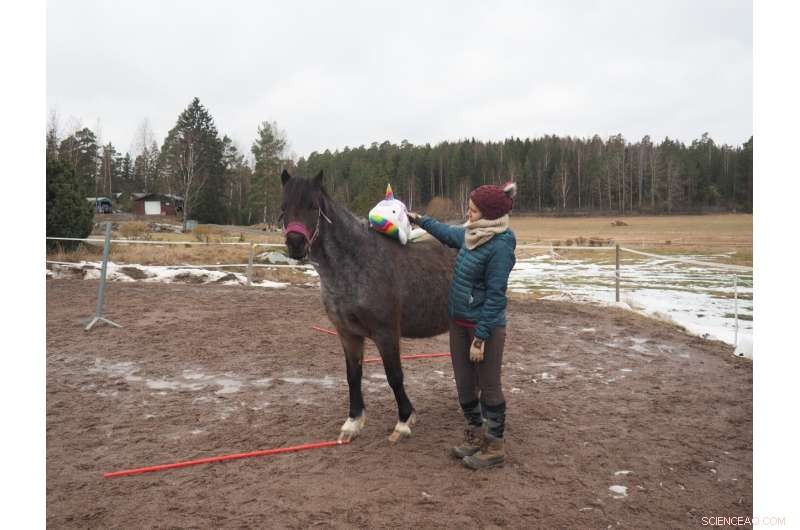 Long-Term Owner Relationships Reduce Horse Stress in New Situations – Findings from Applied Animal Behaviour Science