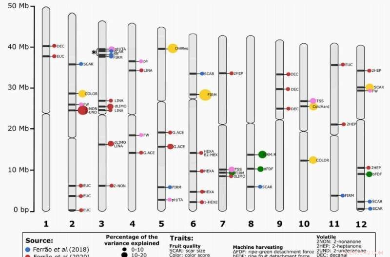 Vaccinium Breeding Breakthroughs: Current Advances and Future Directions