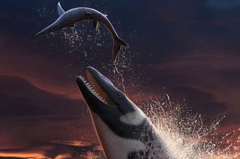 New Fossil Discovery Reveals Giant Mosasaur that Dominated Oceans 66 Million Years Ago