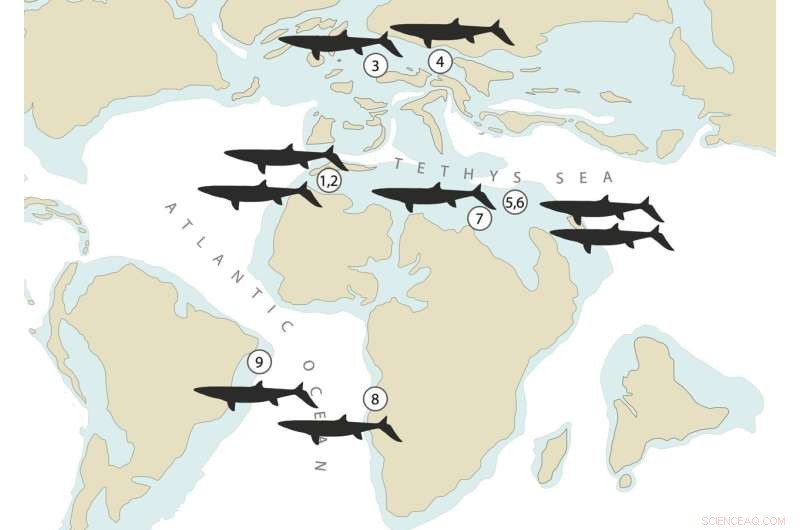 New Fossil Discovery Reveals Giant Mosasaur that Dominated Oceans 66 Million Years Ago
