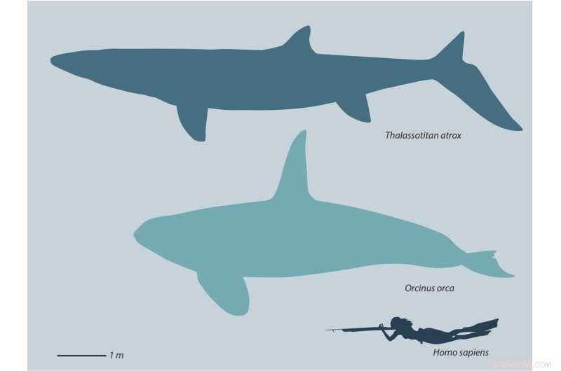 New Fossil Discovery Reveals Giant Mosasaur that Dominated Oceans 66 Million Years Ago