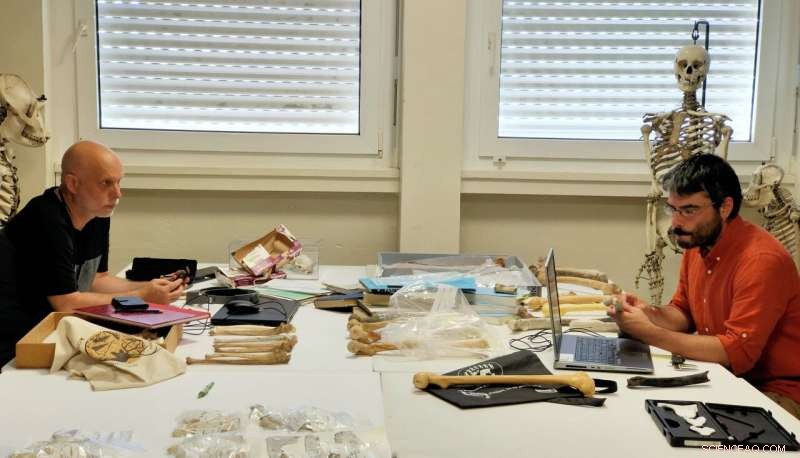 Sahelanthropus tchadensis: Confirmed Bipedalism in the Earliest Human Ancestor