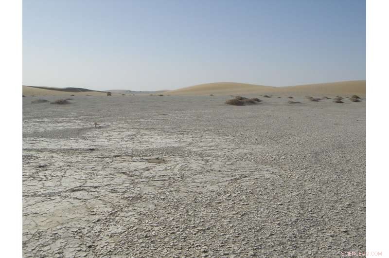 Sahelanthropus tchadensis: Confirmed Bipedalism in the Earliest Human Ancestor