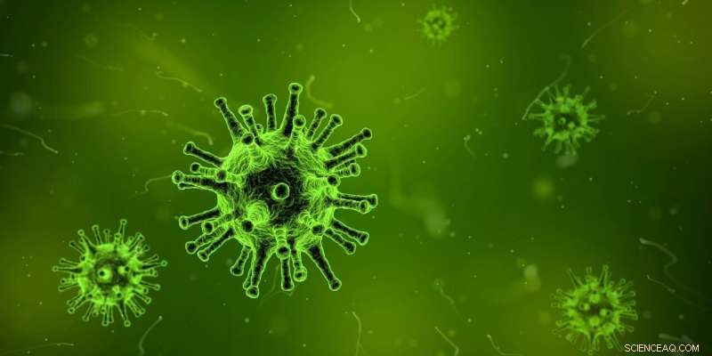 New Study Reveals How Cancer‑Causing Virus Evades Immune Detection