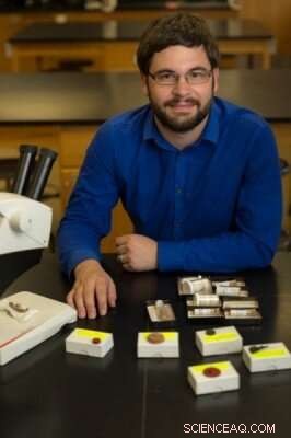 New 30-Million-Year-Old Amphibious Beaver Fossil Sets Record for Earliest Known Semi-Aquatic Species