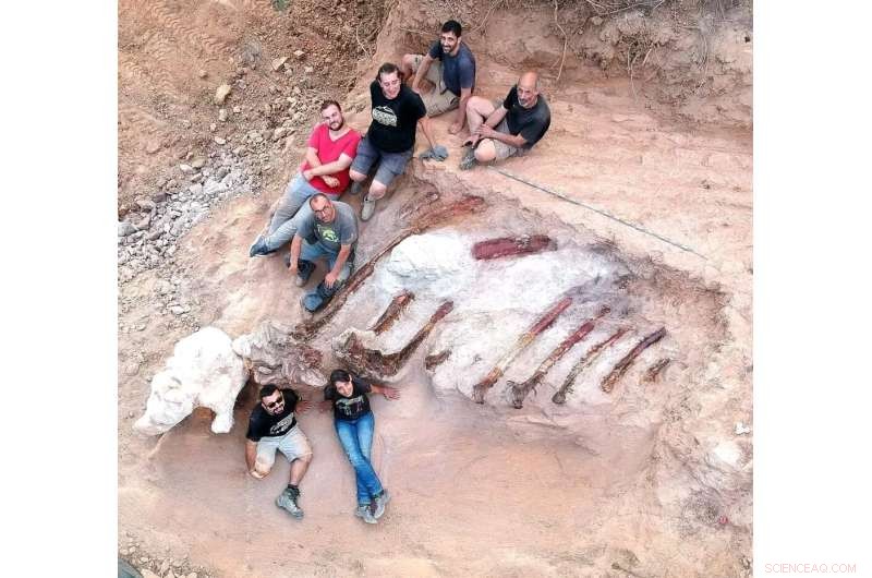 Potential Discovery of Europe s Largest Dinosaur Skeleton in Portugal