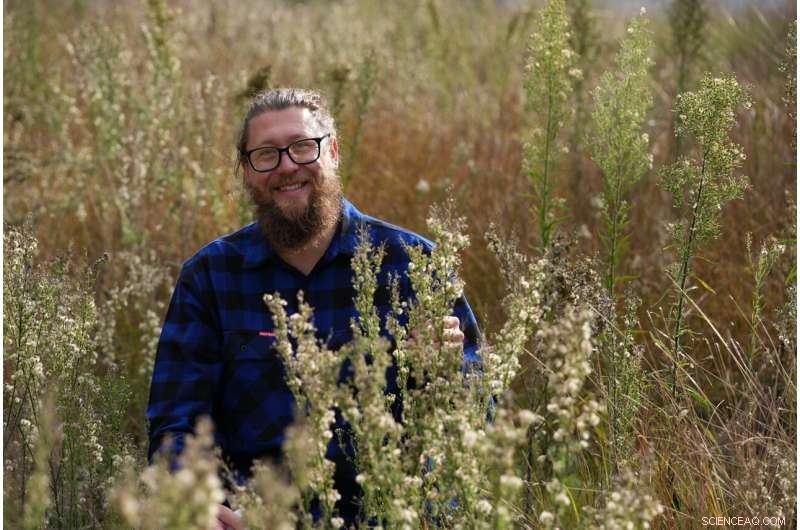 New Fungus Offers Australian Farmers a Powerful Tool Against Fast‑Spreading Flaxleaf Fleabane