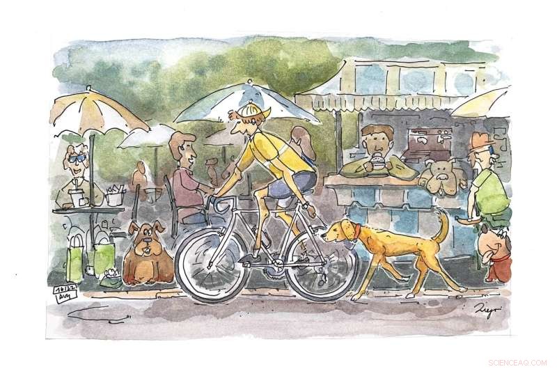 Active Dog Owners Promote Greater Exercise and Health in Their Pets