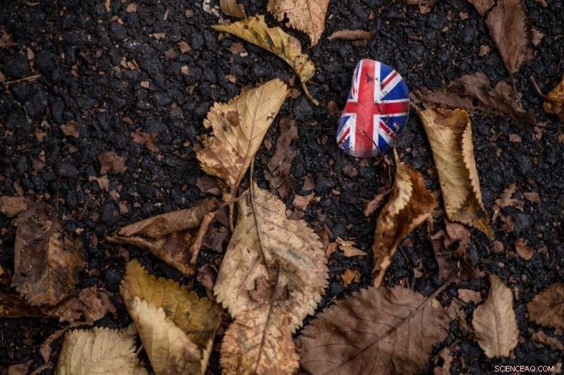 UK Heatwave Triggers Early  False Autumn : Trees Shed Leaves Ahead of Schedule