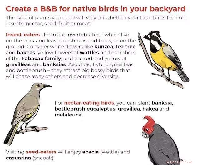 Discover Your Garden Trees  Spring Ravens Nesting Habits