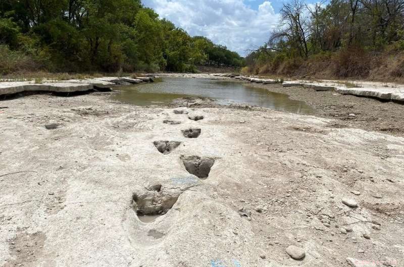 Drought Reveals 113‑Million‑Year‑Old Dinosaur Tracks at Texas s Dinosaur Valley State Park