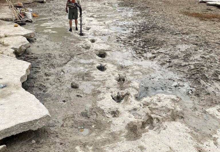 Drought Reveals 113‑Million‑Year‑Old Dinosaur Tracks at Texas s Dinosaur Valley State Park