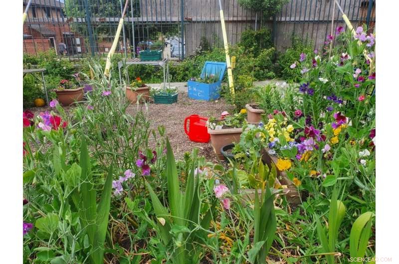 Urban Crops Outperform Conventional Farming