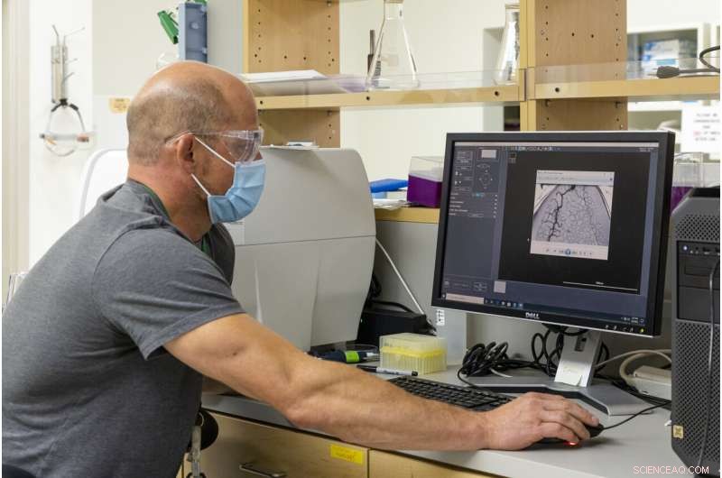 Revolutionizing Plant Health and Carbon Sequestration: Oak Ridge s Rhizosphere-on-a-Chip Platform