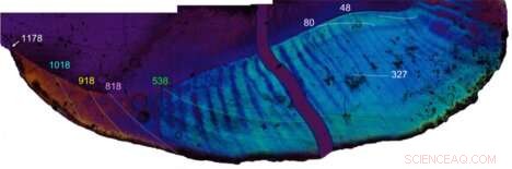 Fossil Ape Teeth Reveal Seasonal Climate Secrets Shaping Human Evolution