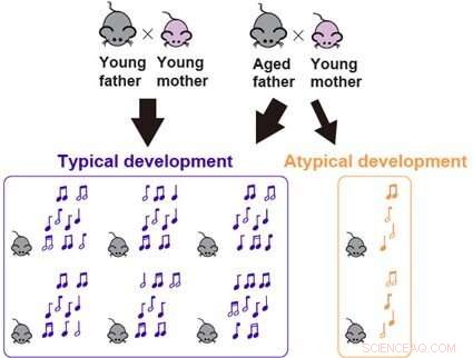 Older Fathers Alter Baby Mice Cry Patterns, Suggesting Links to Neurodevelopmental Disorders