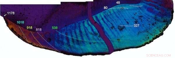 17‑Million‑Year‑Old Kenyan Ape Teeth Reveal Fresh Clues About Early Human Evolution