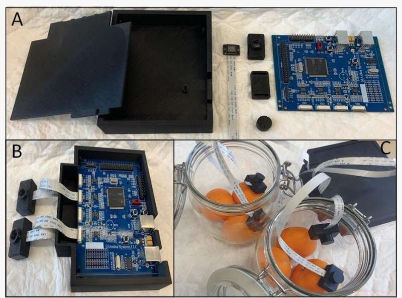 Advanced Biological Sensor Detects Silent Potato Diseases Early