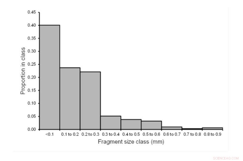 Study Reveals Lead Contamination in Pheasant Meat Sold for Consumption
