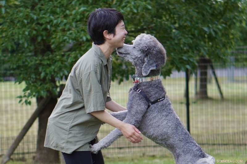 Canine Tear Response Peaks During Owner Reunion: New Study Reveals Emotional Connection