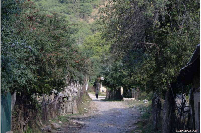 Home Gardens: Living Gene Banks Sustaining Central Asian Livelihoods