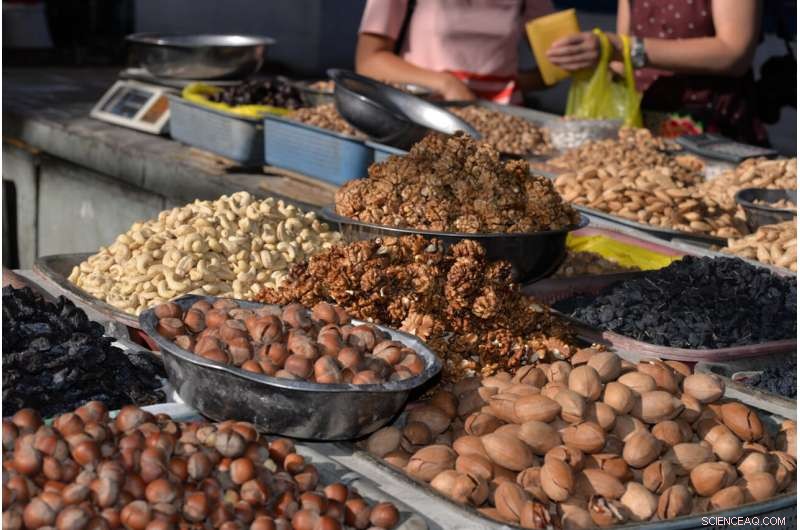 Home Gardens: Living Gene Banks Sustaining Central Asian Livelihoods