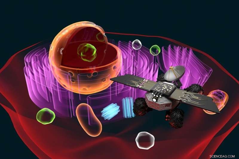 Cell Rover: Advancing Wireless Intracellular Diagnostics and Therapy