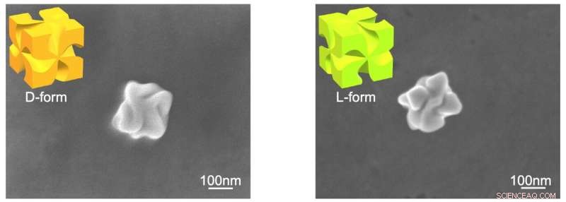 Optical Force Differentiation of Left- and Right-Handed Nanoparticles