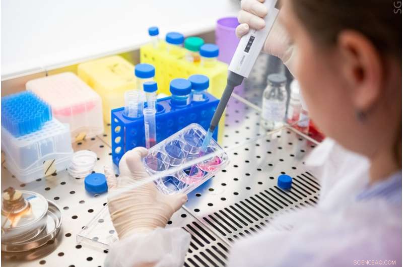 Innovative Silver Nanoparticle Raman Tool Detects Hypertension Early