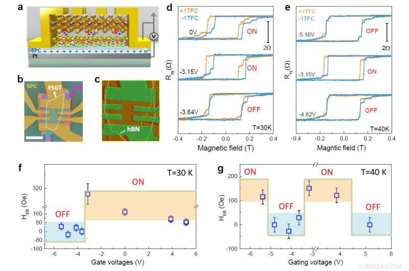 New Electrically Tunable Exchange‑Bias Effect Found in Magnetic van der Waals Heterostructures