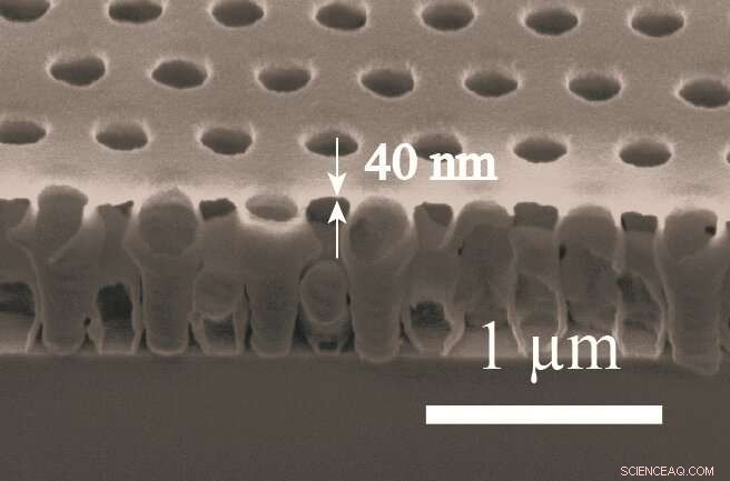 New Energy‑Dissipating Property Discovered in Complex Nanostructures