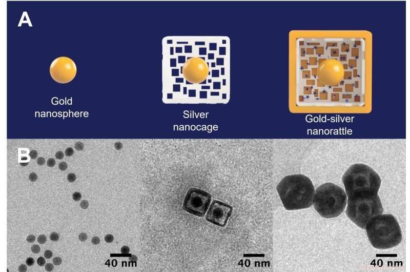 Nanorattles: Revolutionizing Disease Detection with Next-Gen Nanotechnology