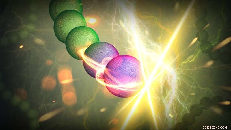 Nanotube‑Enhanced Bacteria Offer a Breakthrough in Living Solar Cells