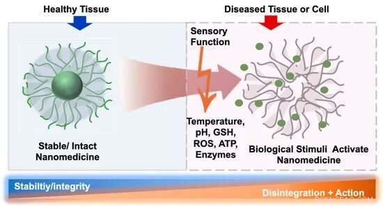 Bioresponsive Polymers in Nanomedicine: From Expectations to Reality