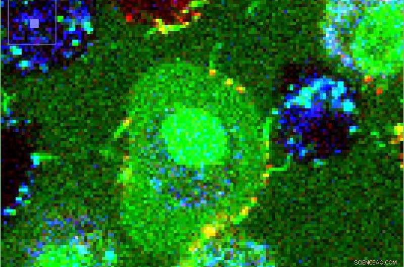 Microscopic Nanopipes May Deliver Drugs Directly to Individual Human Cells