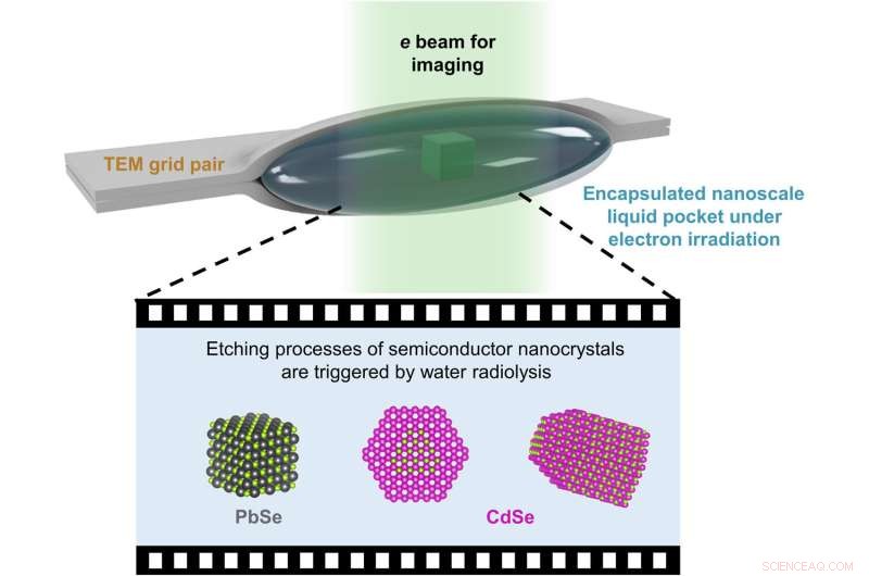 High-Resolution Liquid Cell TEM Reveals Semiconductor Nanocrystal Dynamics