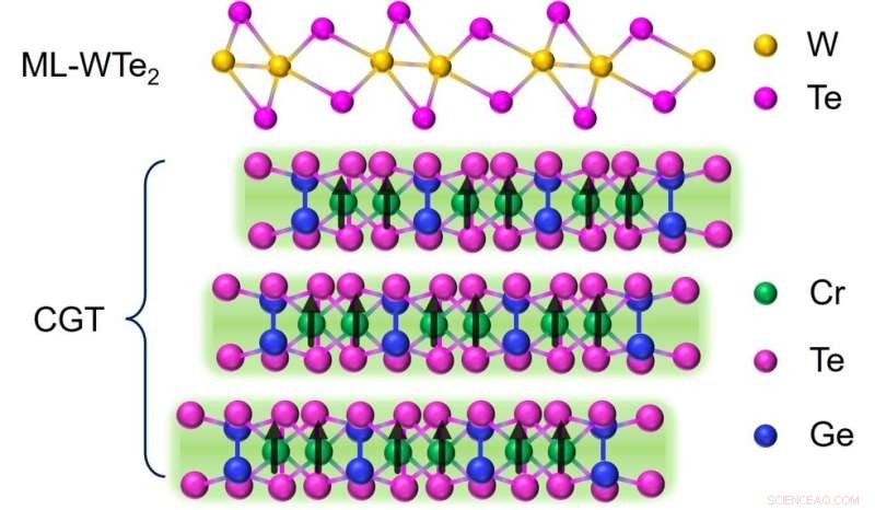 Researchers Engineer Tunable Conducting Edge in WTe₂ Quantum Spin Hall Insulator