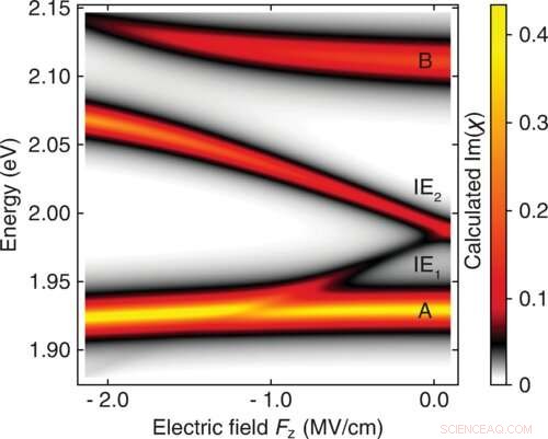 Scientists Achieve Coupling of Two Electron‑Hole Pair Types in 2D van der Waals Materials