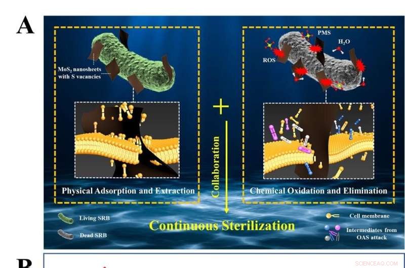 New Nano-Scale Agents Show Promise in Sterilization and Antifouling Applications