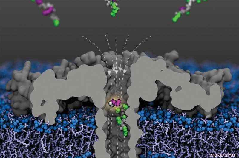Rapid Detection of Epigenetic Changes Using Nanopore Technology